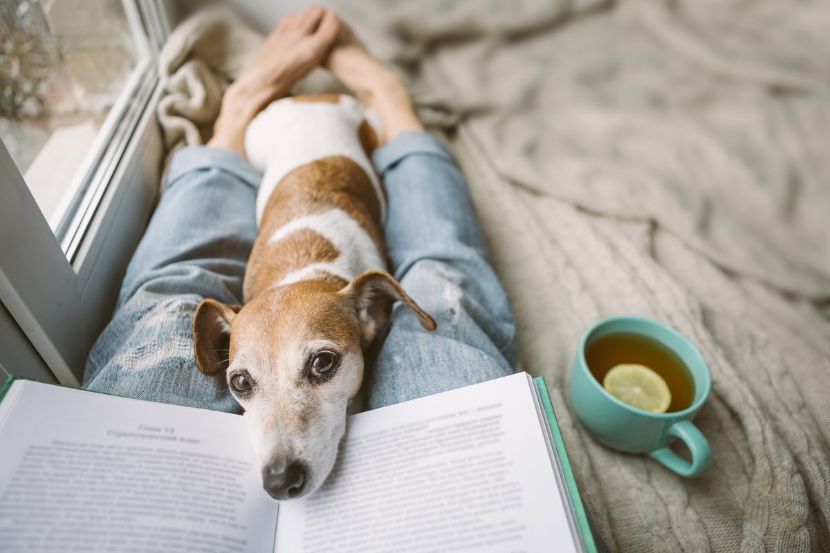 A calm, cosy scene at home with a book and warm light
